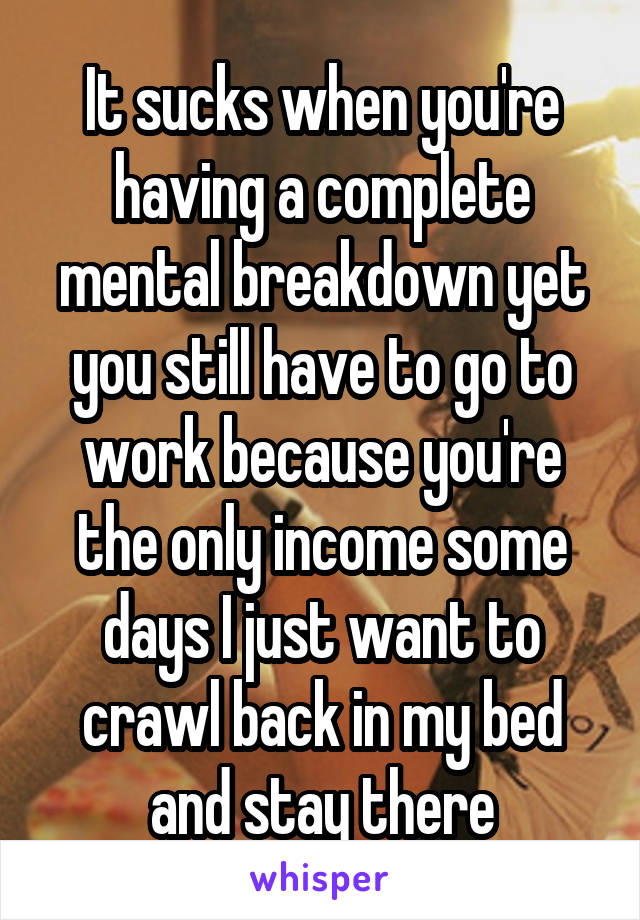 It sucks when you're having a complete mental breakdown yet you still have to go to work because you're the only income some days I just want to crawl back in my bed and stay there