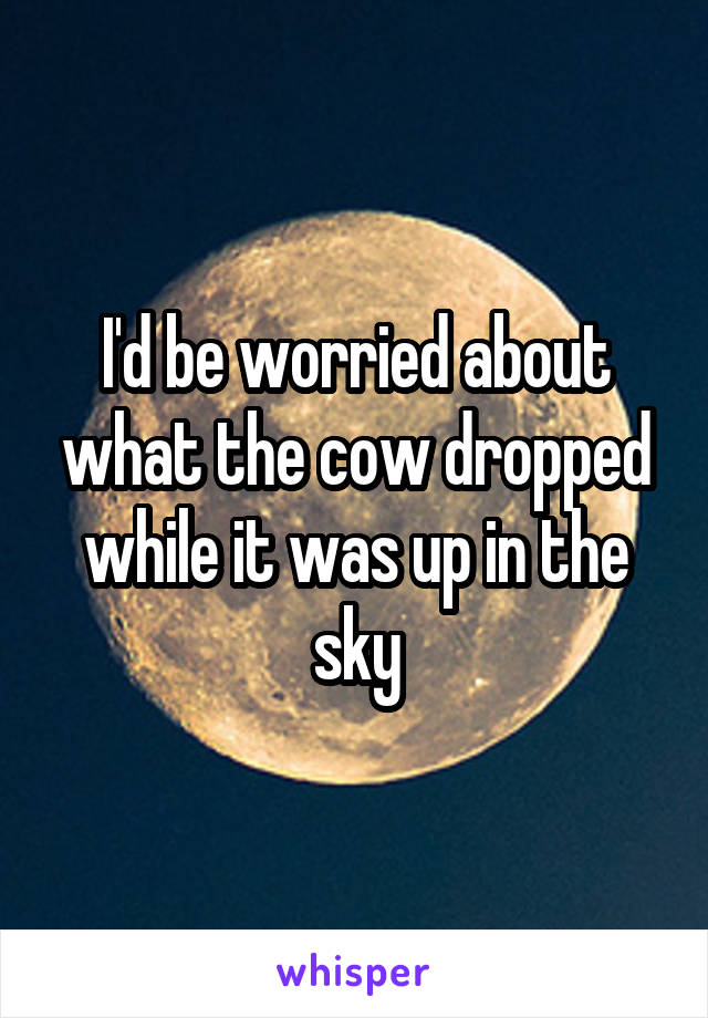 I'd be worried about what the cow dropped while it was up in the sky