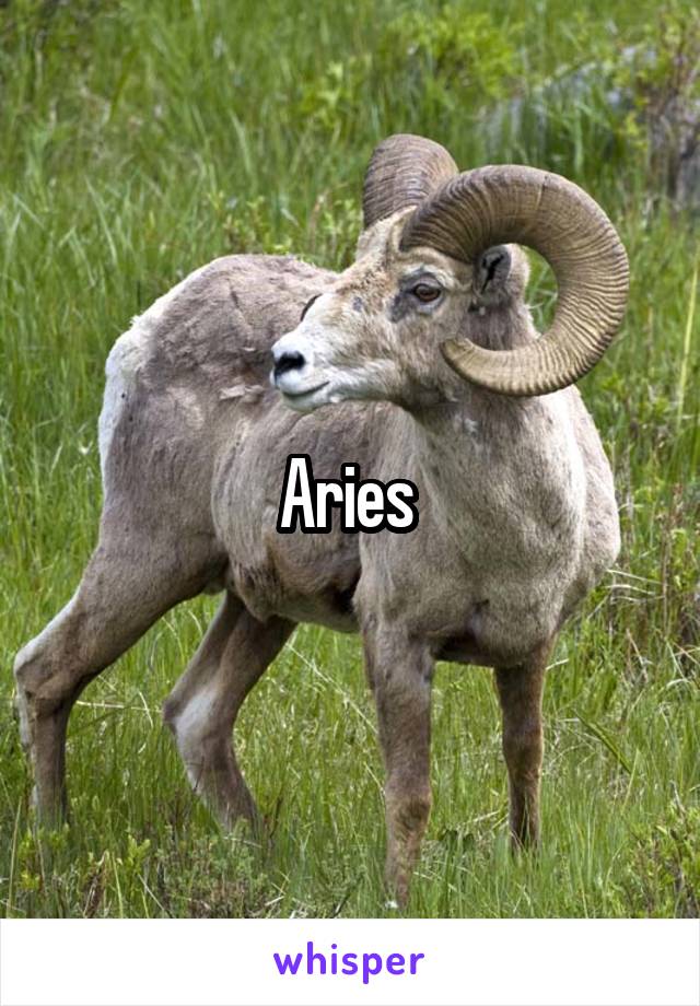 Aries 