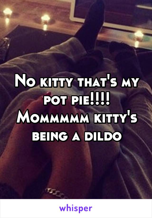 No kitty that's my pot pie!!!! Mommmmm kitty's being a dildo