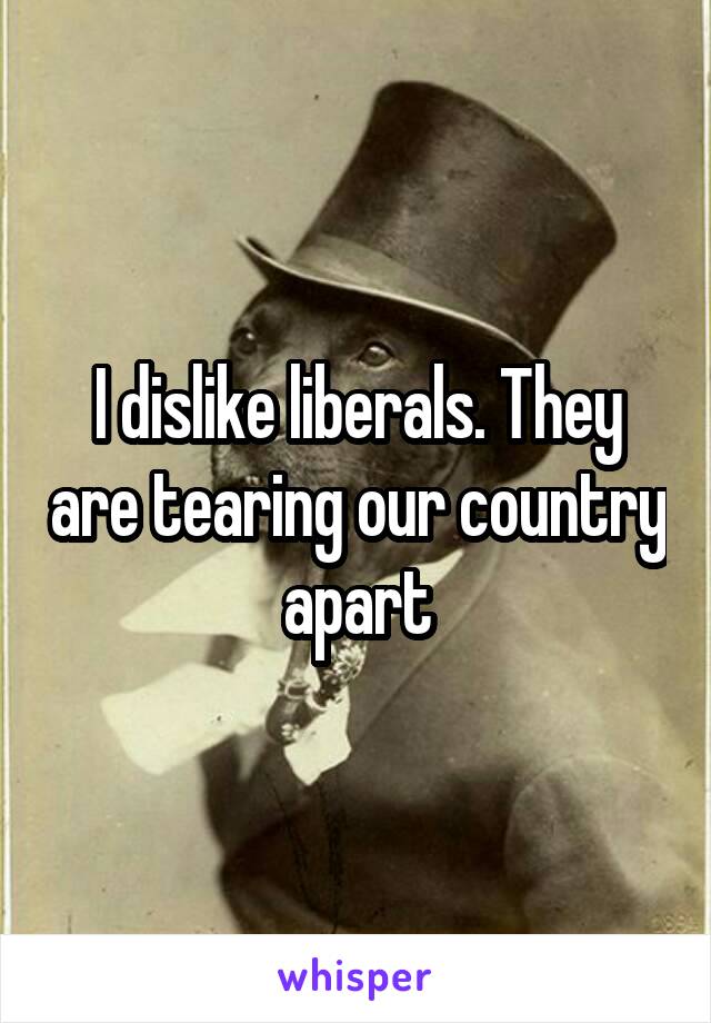 I dislike liberals. They are tearing our country apart