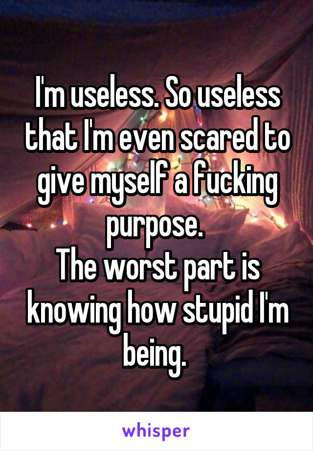 I'm useless. So useless that I'm even scared to give myself a fucking purpose. 
The worst part is knowing how stupid I'm being. 