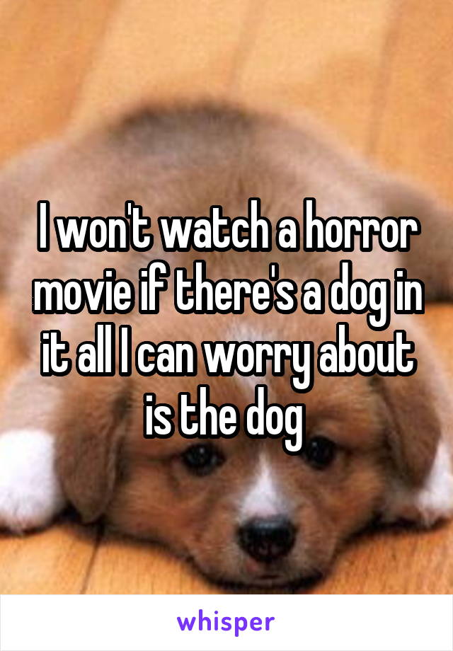 I won't watch a horror movie if there's a dog in it all I can worry about is the dog 