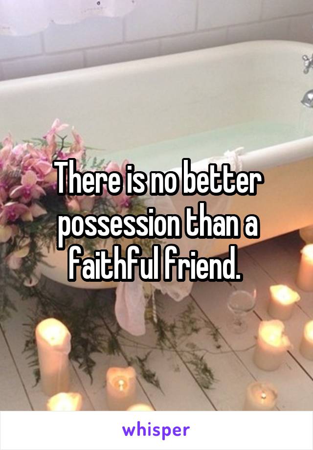 There is no better possession than a faithful friend. 