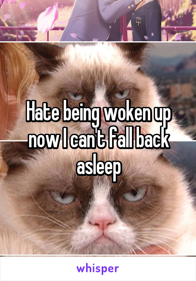 Hate being woken up now I can't fall back asleep