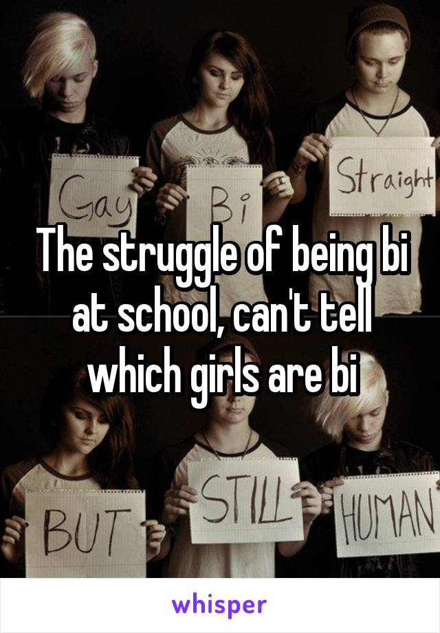 The struggle of being bi at school, can't tell which girls are bi