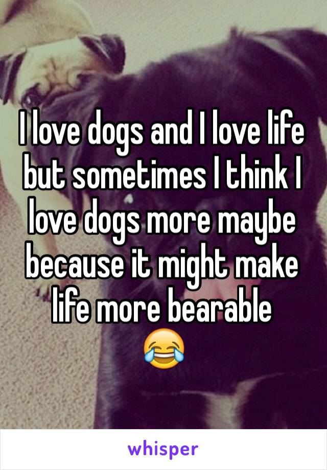 I love dogs and I love life but sometimes I think I love dogs more maybe because it might make life more bearable
😂