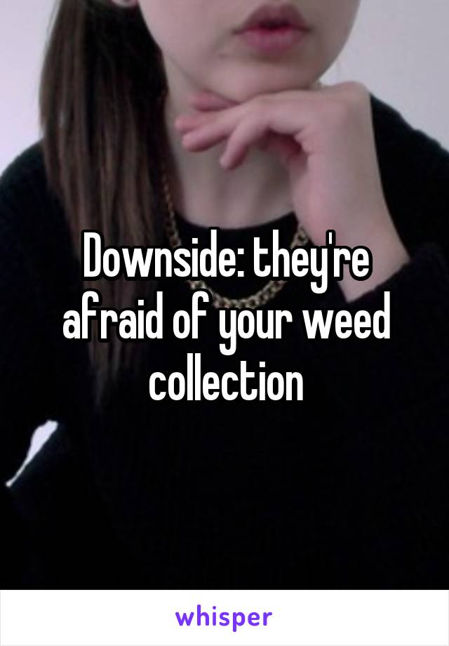 Downside: they're afraid of your weed collection