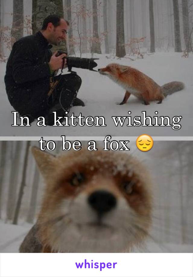 In a kitten wishing to be a fox 😔