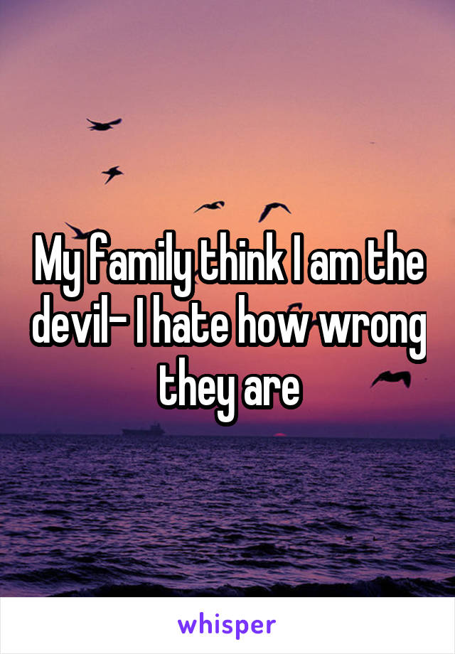 My family think I am the devil- I hate how wrong they are