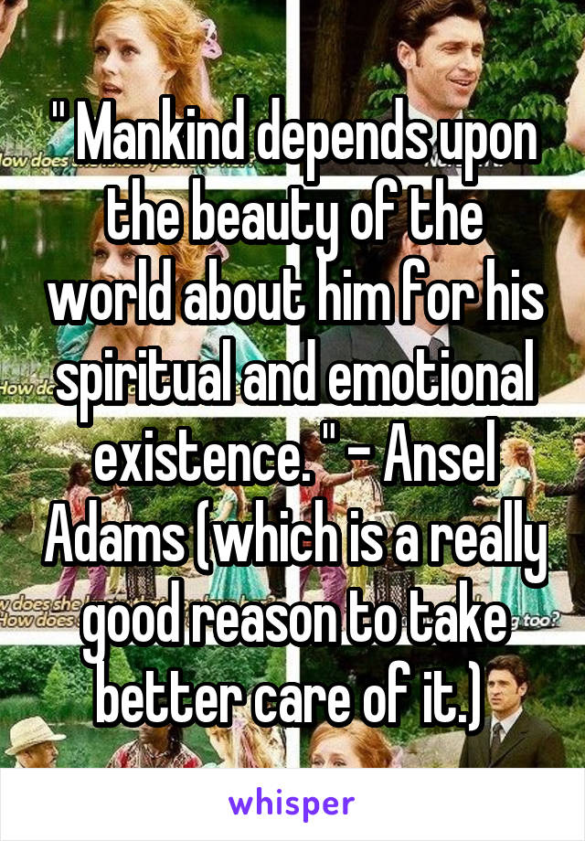 " Mankind depends upon the beauty of the world about him for his spiritual and emotional existence. " - Ansel Adams (which is a really good reason to take better care of it.) 