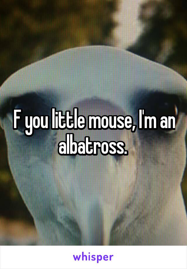 F you little mouse, I'm an albatross. 