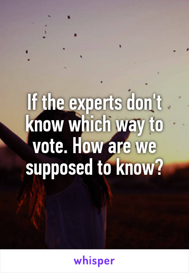 If the experts don't know which way to vote. How are we supposed to know?