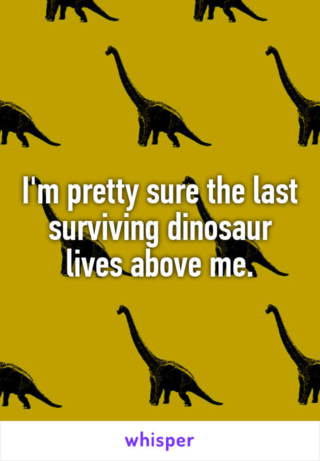 I'm pretty sure the last surviving dinosaur lives above me.