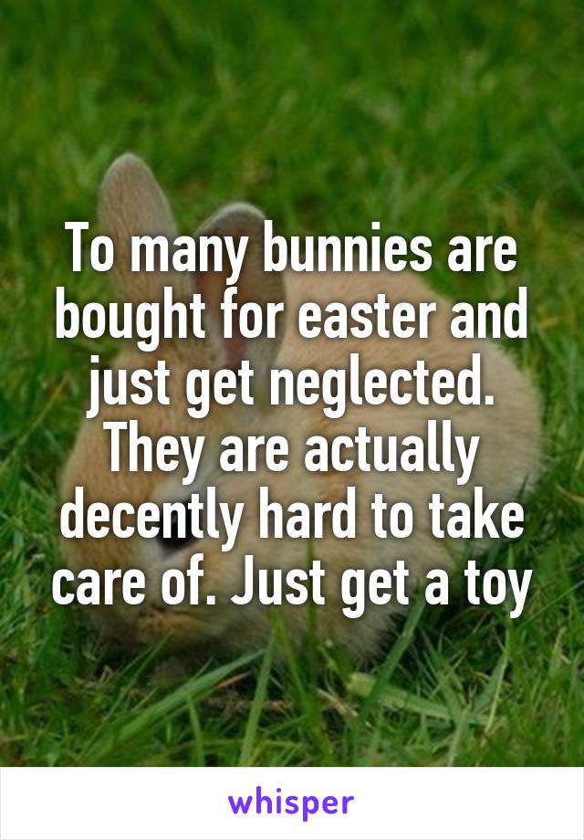 To many bunnies are bought for easter and just get neglected. They are actually decently hard to take care of. Just get a toy