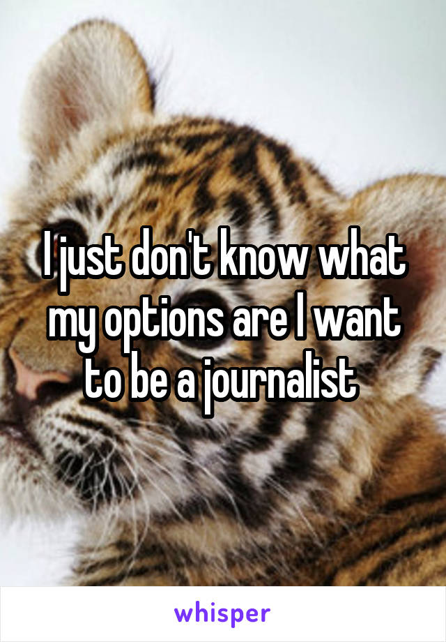 I just don't know what my options are I want to be a journalist 