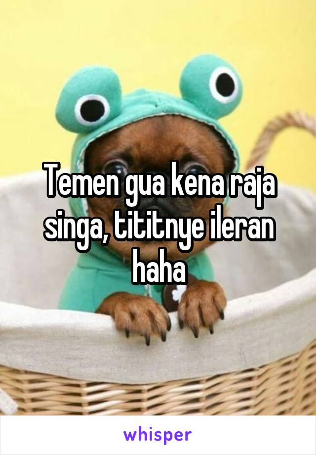 Temen gua kena raja singa, tititnye ileran haha