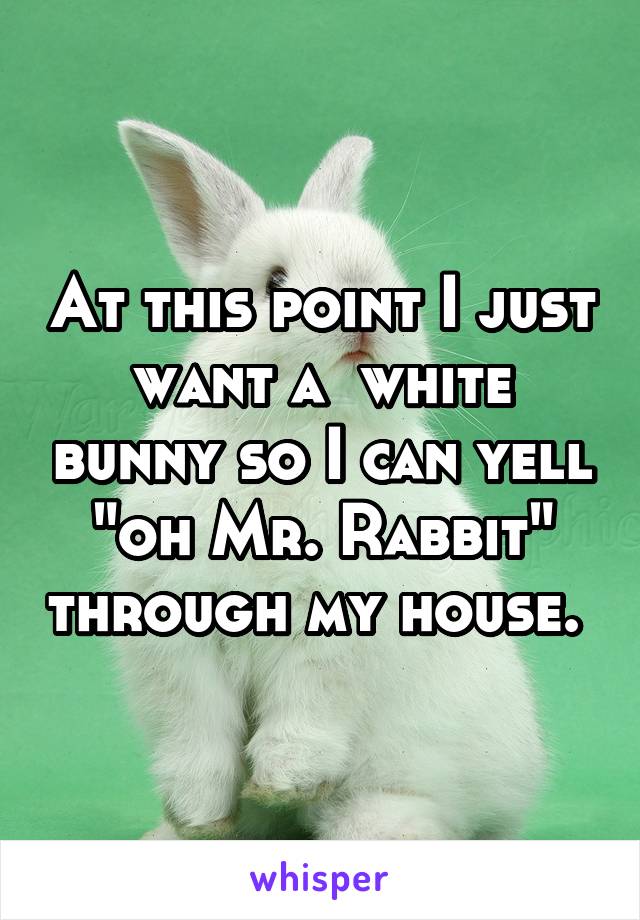 At this point I just want a  white bunny so I can yell "oh Mr. Rabbit" through my house. 