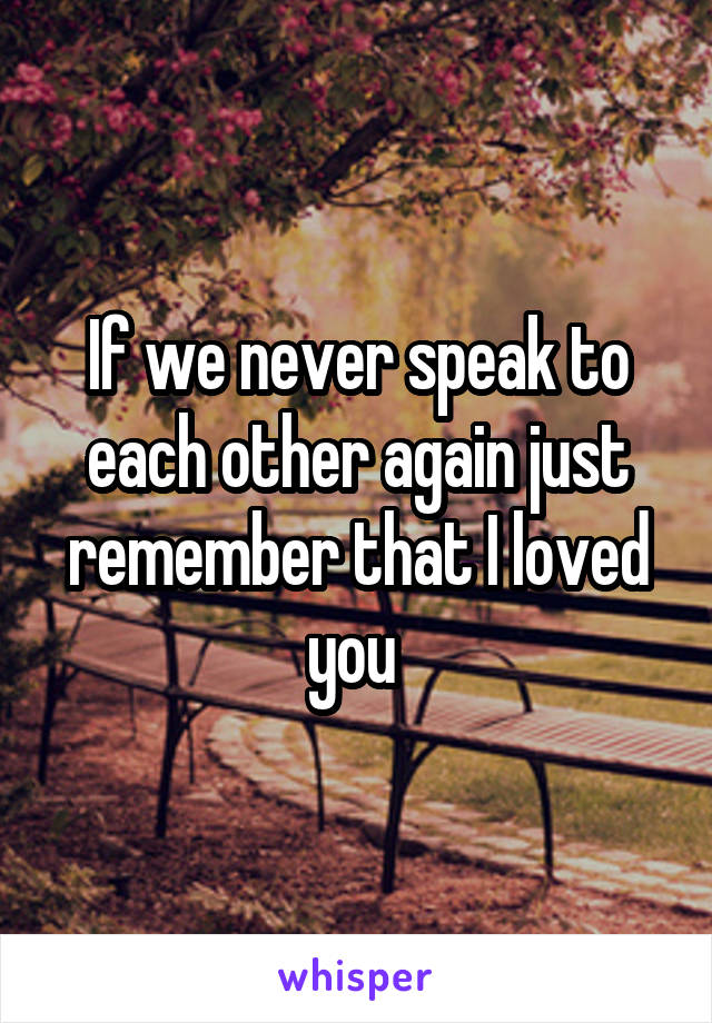 If we never speak to each other again just remember that I loved you 