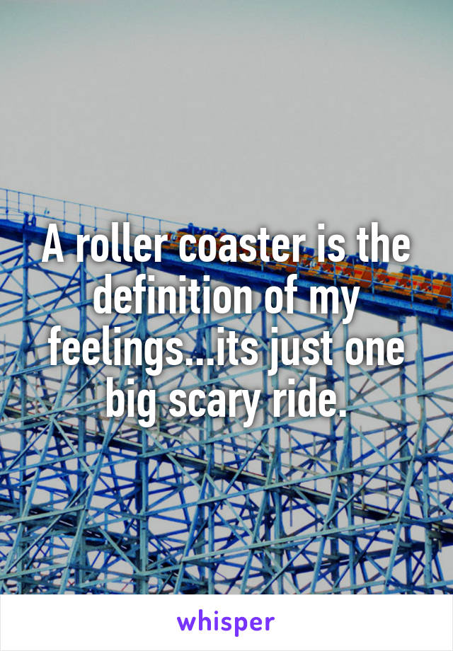 A roller coaster is the definition of my feelings...its just one big scary ride.