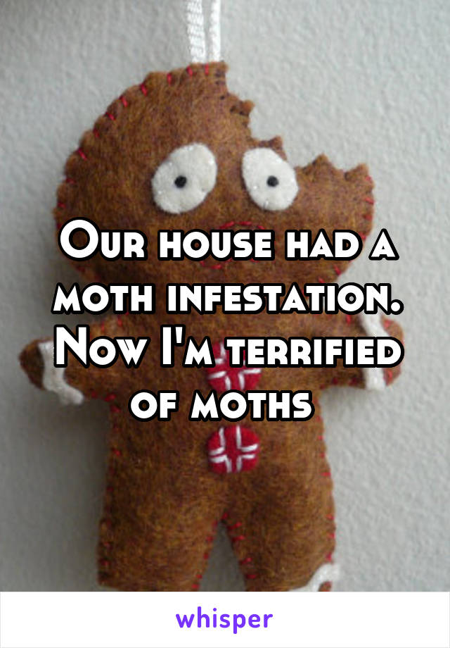 Our house had a moth infestation. Now I'm terrified of moths 