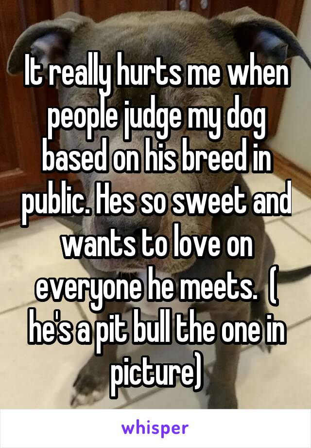 It really hurts me when people judge my dog based on his breed in public. Hes so sweet and wants to love on everyone he meets.  ( he's a pit bull the one in picture)