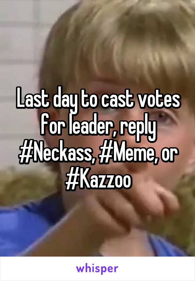 Last day to cast votes for leader, reply #Neckass, #Meme, or #Kazzoo