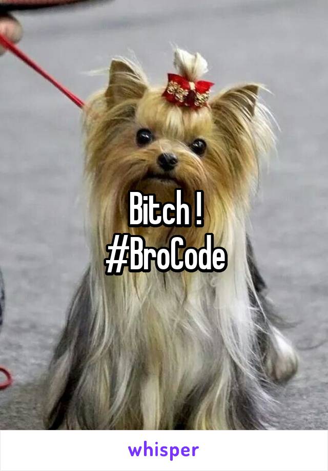 Bitch !
#BroCode