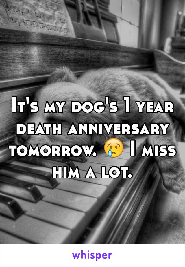 It's my dog's 1 year death anniversary tomorrow. 😢 I miss him a lot.