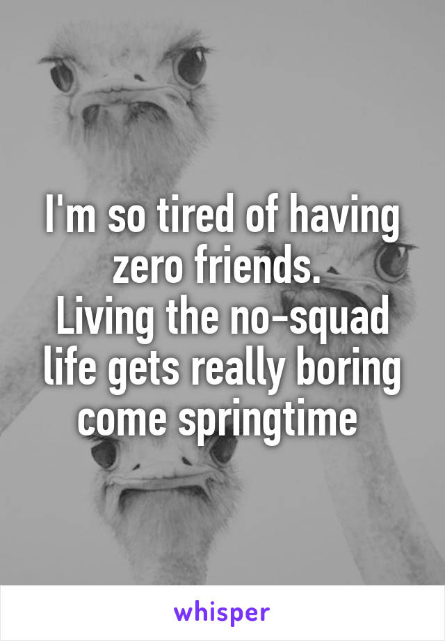 I'm so tired of having zero friends. 
Living the no-squad life gets really boring come springtime 