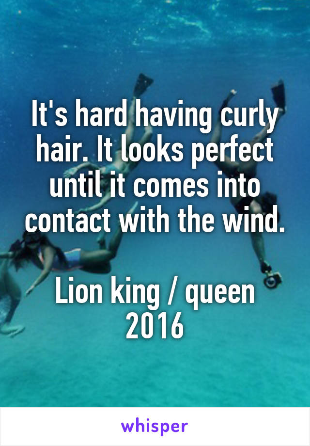 It's hard having curly hair. It looks perfect until it comes into contact with the wind.

Lion king / queen 2016