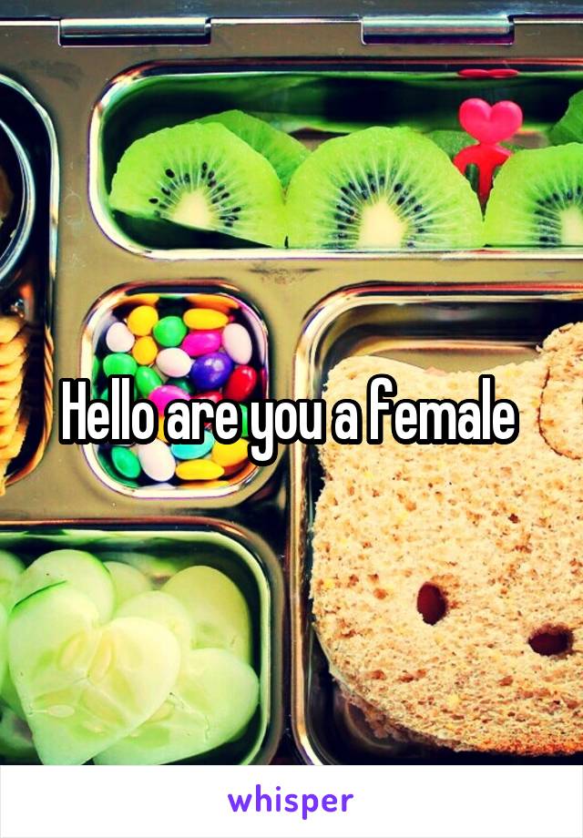 Hello are you a female 