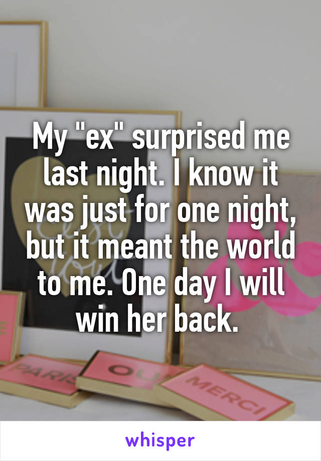 My "ex" surprised me last night. I know it was just for one night, but it meant the world to me. One day I will win her back. 