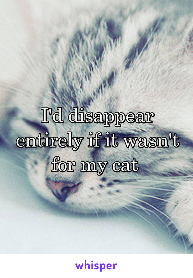 I'd disappear entirely if it wasn't for my cat 