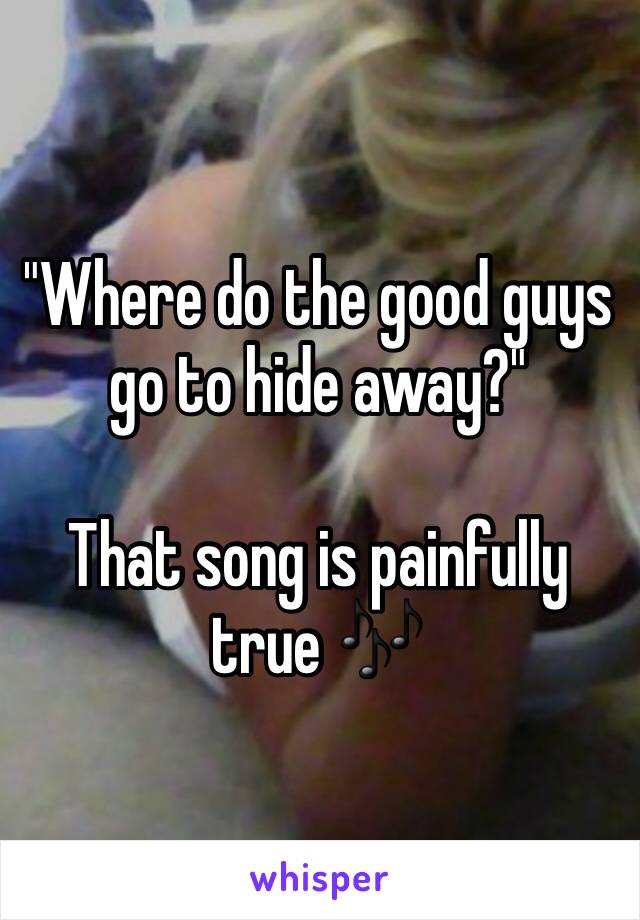 "Where do the good guys go to hide away?"

That song is painfully true 🎶