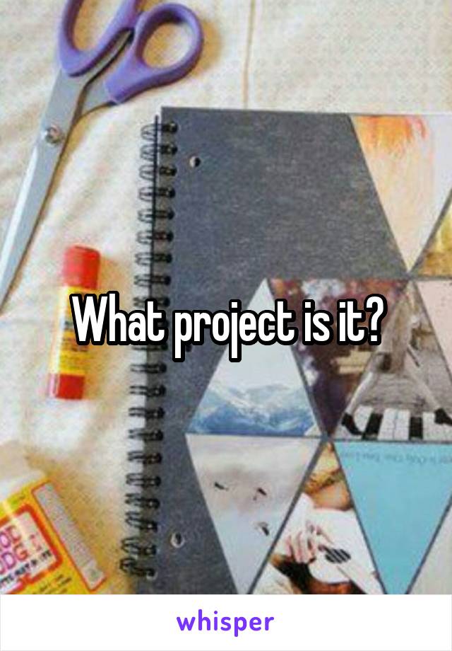 What project is it?