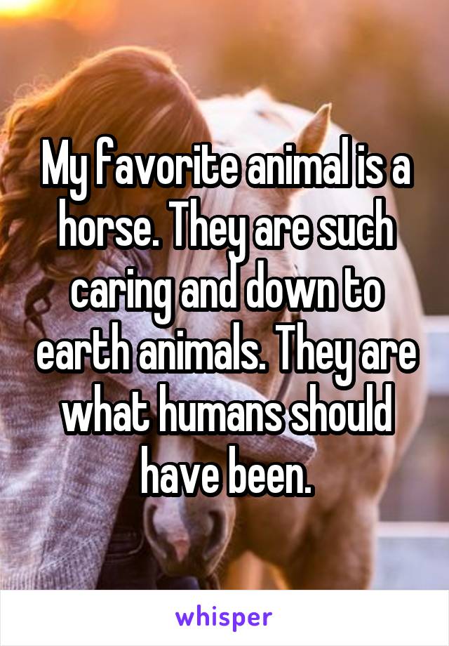 My favorite animal is a horse. They are such caring and down to earth animals. They are what humans should have been.