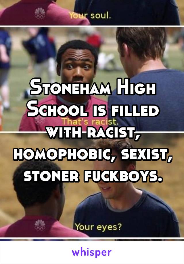 Stoneham High School is filled with racist, homophobic, sexist, stoner fuckboys.