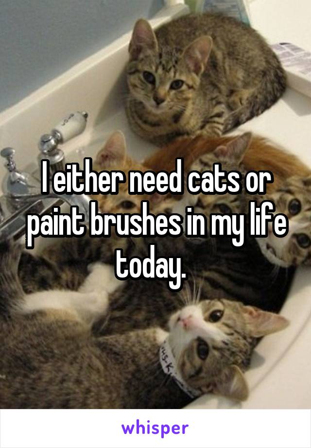 I either need cats or paint brushes in my life today.  