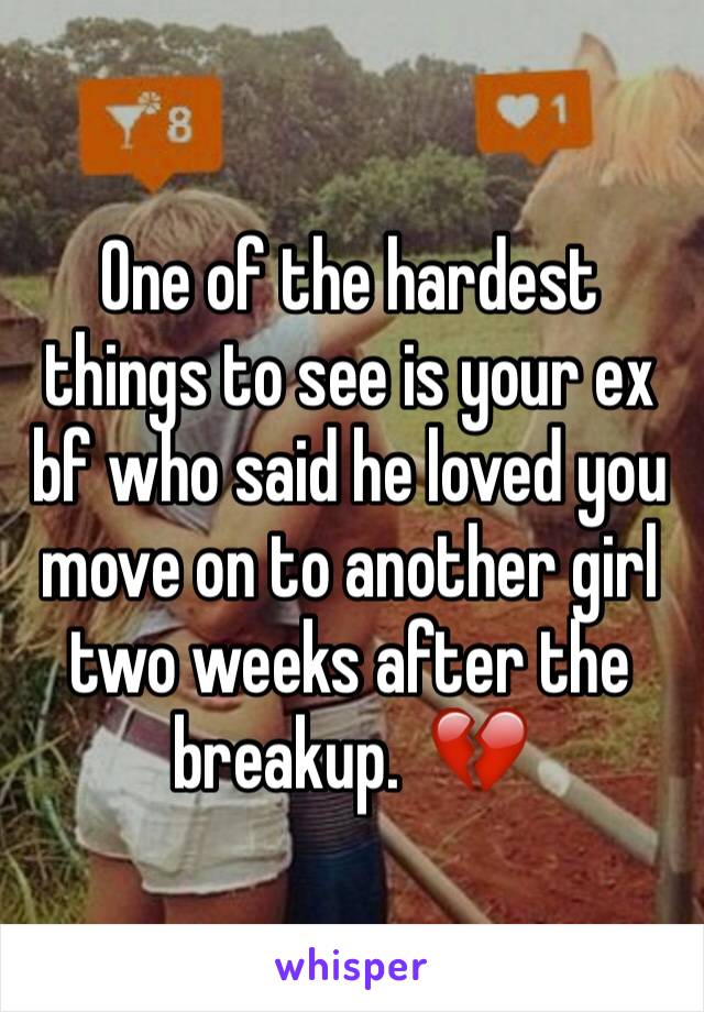 One of the hardest things to see is your ex bf who said he loved you move on to another girl two weeks after the breakup.  💔