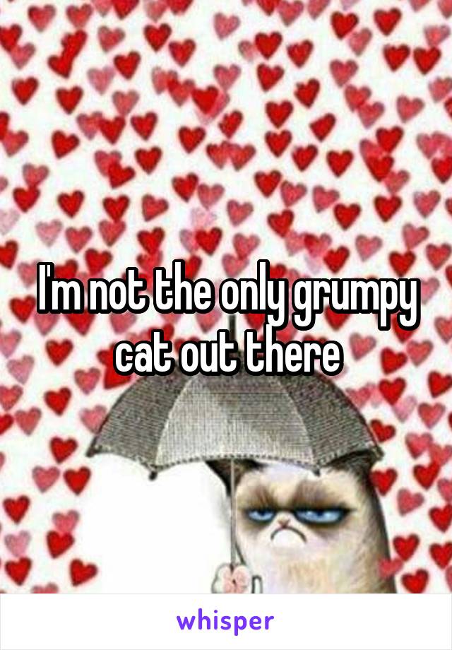 I'm not the only grumpy cat out there