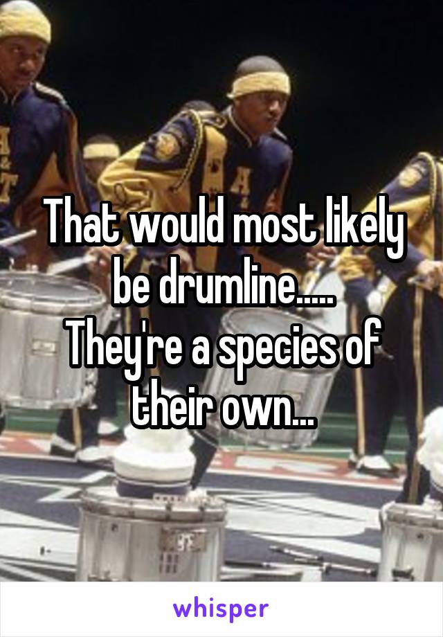 That would most likely be drumline.....
They're a species of their own...