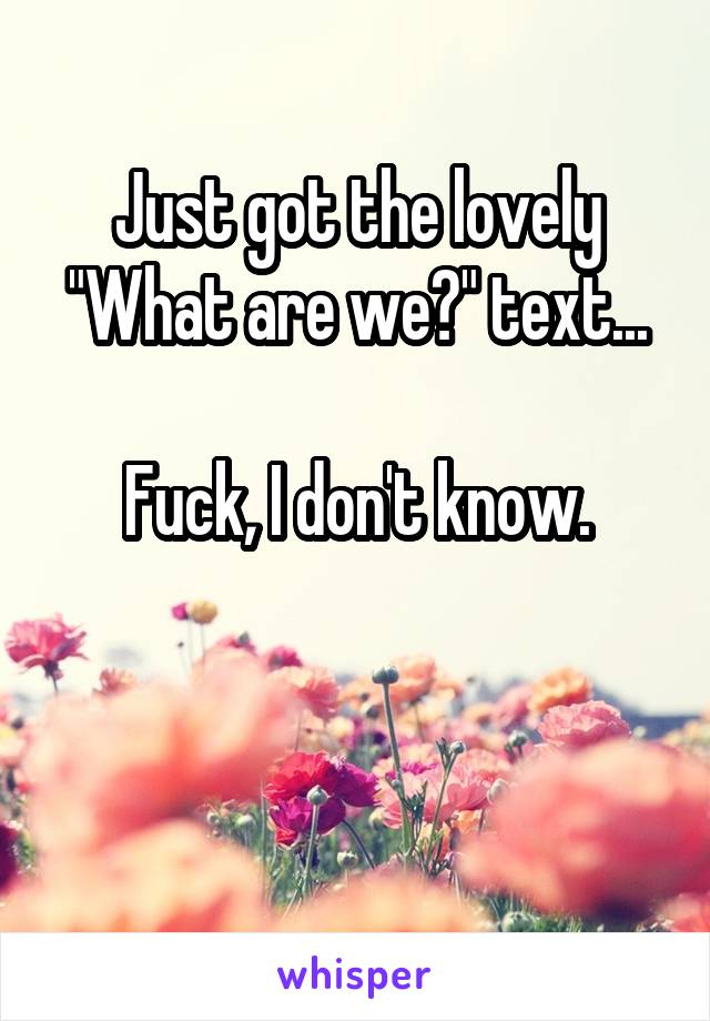 Just got the lovely "What are we?" text...

Fuck, I don't know.


