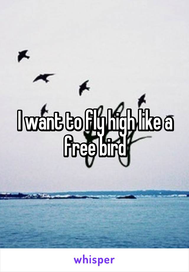 I want to fly high like a free bird