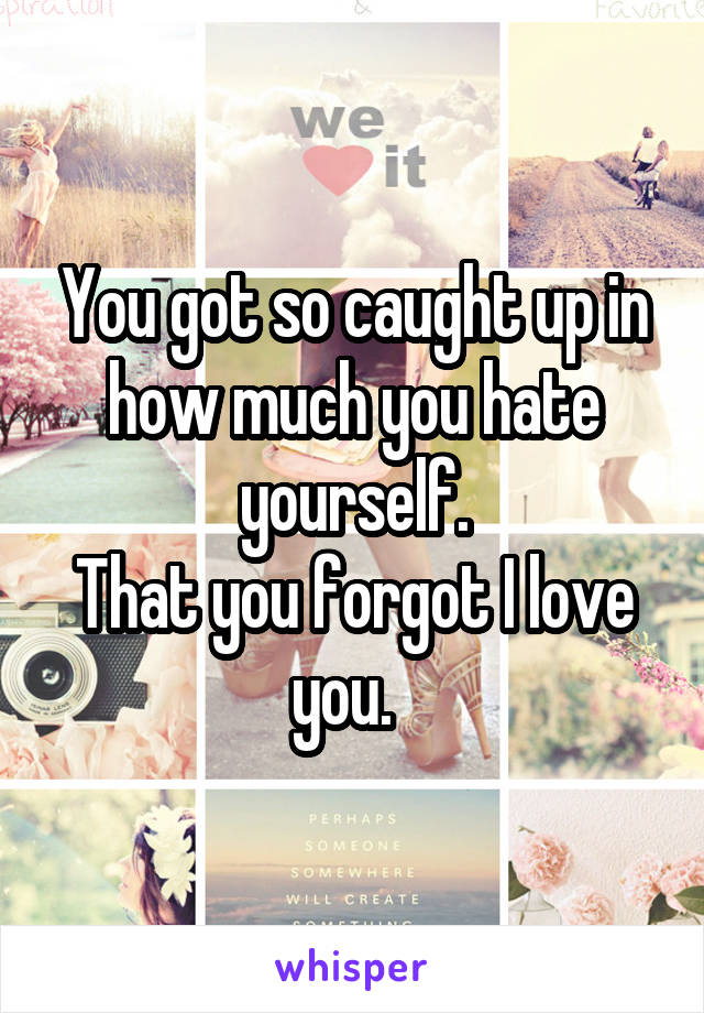 You got so caught up in how much you hate yourself.
That you forgot I love you.  