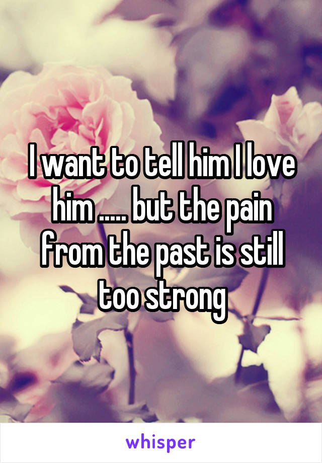 I want to tell him I love him ..... but the pain from the past is still too strong