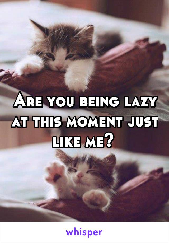 Are you being lazy at this moment just like me? 