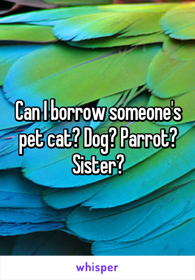 Can I borrow someone's pet cat? Dog? Parrot? Sister?