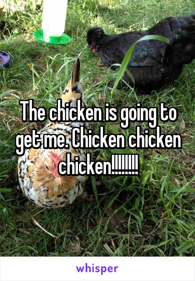 The chicken is going to get me. Chicken chicken chicken!!!!!!!!