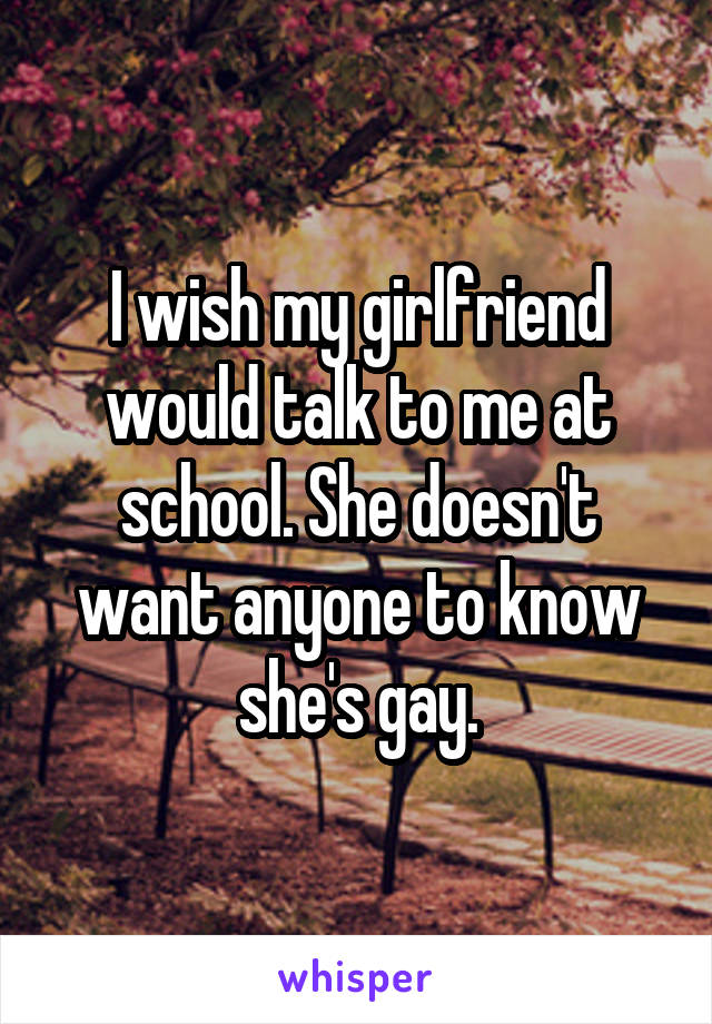 I wish my girlfriend would talk to me at school. She doesn't want anyone to know she's gay.